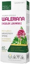 MEDICA BYLINKY Valeriána valeriána STRES 60K