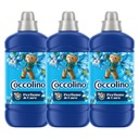 Coccolino Creations Blue s bergamotovou avivážou 1.275L s