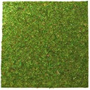 MACHOVÉ POZADIE A ZEM 45X45CM PRE REPTIZOO TERÁRIUM