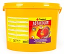 TROPICAL Astacolor Palette vločky 2 kg