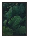 OBRAZOVÝ PLAGÁT V RÁME 33x43 cm Listy P642