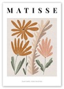 BOHO KVETOVÝ MATISSE PLAKÁT B2 50x70cm #W42