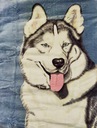 Elway deka 160x210 cm HUSKY DOG GREY AKRYL Hrub