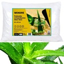 TERMOPLASTICKÝ ORTOPEDICKÝ VANKÚŠ ALOE VERA