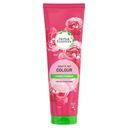Herbal Essences Conditioner Hair Conditioner 275ml Ignite my color