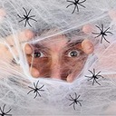BAVLNENÉ STRÁNKY PAVÚK HALLOWEENSKÉ DEKORÁCIE