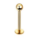 Titánová náušnica, zlatý labret, vnútorný závit. 1.2/8/3