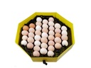 Modul zvyšujúci počet vajec v inkubátoroch o 41 vajec Cleo5 iBatorHome