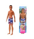 Barbie beach boy dovolenková bábika KVALITA