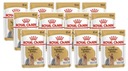 Royal Canin Yorkshirský teriér dospelý York 12 x 85 g