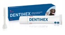 DENTIHEX 20g zubná pasta pre psov a mačky