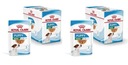 Royal Canin Mini Puppy Junior Puppies 24x85g
