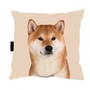 VANKÚŠ SO PSÍM SHIBA INU na spanie 40x40 darček