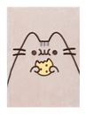 PUSHEEN NOTES FLUFFY NOTEBOOK DIÁR A5 80 listov PUSHEEN