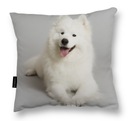 VANKÚŠ so SAMOYED PSÍKOM samojed samojed darček šedý 40x40 mäkký veľ.