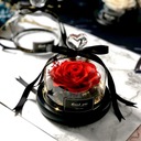 večná ruža darček na Valentína mini LED k narodeninám