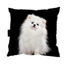 VANKÚŠ so psíkom POMERANIAN 40x40 na spanie DARČEK
