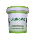 Dolfos GlukoVit pre holuby 1000g