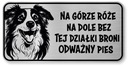 Border Collie Dog Pozornosť Sign