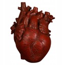Anatomický kvetináč socha zo živice Heart Resin