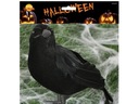 Čierny havran - Halloweenska dekorácia 25 cm