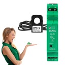 Wi-Fi elektromer LEW-02 1F 100A