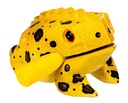 Guiro žabka 9cm AFROTON AFR734B žltá