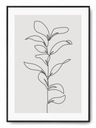 Plagát r 40x50 cm Kvet Kresba Náčrt Grafika