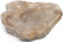 Kamenná miska na mydlo skamenené drevo 18x15cm