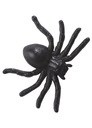 Halloween pavúky SET SPIDER 60 ks.