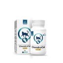 Chondrocat 110 TAB TABUJE PRE CAT RINDS
