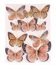 Ozdobné motýle na spone, oranžové, 10 ks
