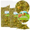 Králikové bylinky Karma Factoryherbs Lanceolate Babička 300G x2