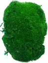Tmavozelená PREMIUM špongia Moss Kępka 12-14cm