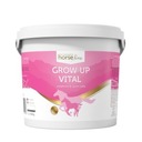 HorseLinePRO GrowUp Vital vitamíny pre žriebätá 5kg