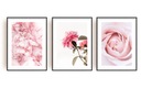 moderné obrazy FLOWERS ROSES plagát ruží 3x A4