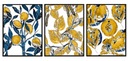 OBRAZOVÝ PLAGÁT V RÁME 53x73cm Triptych Fruits P1889