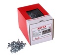 SKRUTKA 4x16 /1000 KS/ ASTRA