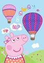 PEPPA PIG PIG PIG fleecová deka 100X140 cm