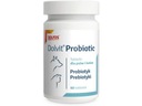 Dolvit Probiotic 60tab Gastrointestinálna podpora