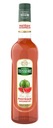 Melónový sirup 0,7l Teisseire