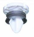 5 ks CITROEN JUMPY IV - TAPIC CAP. DVERE