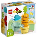 LEGO Bricks Duplo 10981 Pestovanie mrkvy