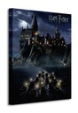 Obraz na plátne Harry Potter Rokfortská škola Nástenné obrazy 40x50 cm