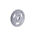 INSPORTLINE Hamerton ZAŤAŽENIE 30 mm 5 kg OCEL
