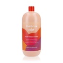Šampón na farbené vlasy - Inebrya Color Perfect 1000ml