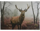 LED OBRAZOVÉ PLÁTNO JELEŇ 100 bodov vianočné 60x80cm