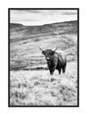 OBRAZOVÝ PLAGÁT V RÁME 33x43 cm Highlander P1399