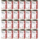 Dolina Noteci Perfect Care Intestinal 24x400g