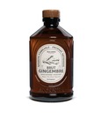 Bio sirup Bio zázvor 400ml
